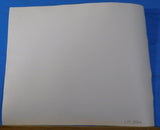 Photo South Branch Valley Locomotive with freight cars Approx. 8 X 10 Inches