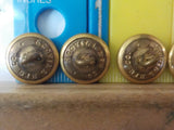 Button Pullman Lot of 5 Scoville  Gold in color