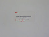 Photo Texas & Pacific Railway Locomotive #916  8 X 10 Color