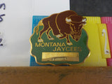 Jaycees Montana Buffalo On Green Grass Blank Gold Rectangle       PIN