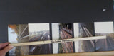 Photo Reading Railroad Lot of 59 Color / Black & white  1985-1998