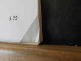 US Rail News 1985 March Our 2nd Year Marketplace for the Railroad Industry & Hob