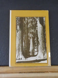 Yosemite Story, The  by Harriet E Huntington with dust jacket