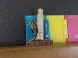 Jaycees Wyoming Italion Stallion Black horse LEaning tower of Piza Pin
