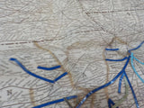 Map Railroads in the United States Western States   FOLDED