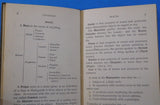 Primer of Essentials in Grammar and Rhetoric by Marietta Knight 1905 HC