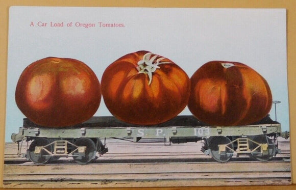 Postcard A car load of Oregon Tomatoes SP flatcar #102