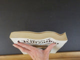 History of Civilization, A  1715 to the Present Fifth Edition Soft Cover