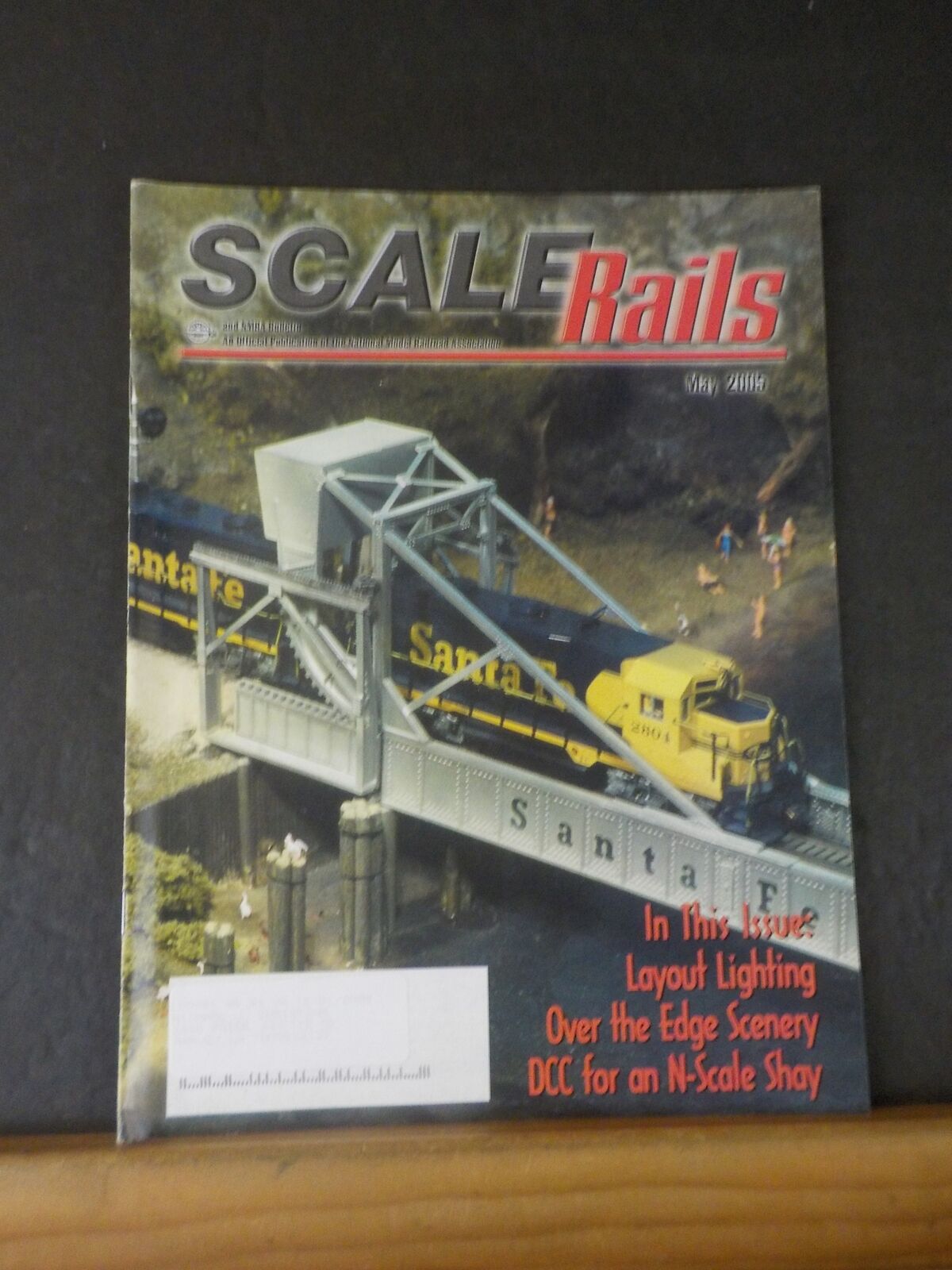 Scaler Rails Scale Rails NMRA 2005 May Layout Lighting – RailroadTreasures