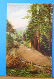 Postcard Mt Tamalpais Railway California gravity car on steepest grade. #232