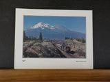 Growing Up with Trains II by Richard Steinheimer and Ted Benson SC 1983