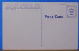 Postcard Cascade Mountains Washington Verdant and beautiful always.  Card #P-130