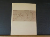 Grand Trunk Corporation and Subsidiaries Annual Report 1975
