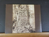Brix Logging Story In the Woods of Washington and Oregon by Peter Brix & Penttil
