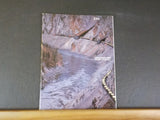Canadian National Annual Report 1980 CN Financials CN Rail Trucking TerraTranspo