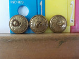 Button Pullman Lot of 3 Waterbury   small Gold in color