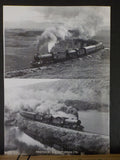 N.E.L.P.G. News #162 1994 August No.162 North Eastern Locomotive Preservation Gr