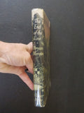End of the Line, The  by Bryan Morgan Dust Jacket 1955 255 pages
