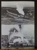N.E.L.P.G. News #168 1995 August No.168 North Eastern Locomotive Preservation Gr