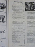 Norfolk and Western Magazine 1964 July Time freight Trains meet Wes