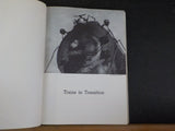 Trains in Transition by Lucius Beebe  American Railroading Soft Cover