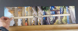 Photo Reading Railroad Lot of 59 Color / Black & white  1985-1998