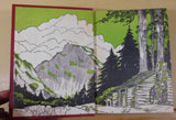 Heidi by Johanna Spyri Vintage Book by Whitman Publishing Company Red Cover