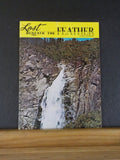 Lost Beneath the Feather by Bill Talbitzer     Soft cover