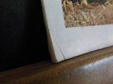 Transportation USA Vol 6 No 1 Fall 1979 You can haul the pizza but not beer