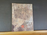 Imperial Tombs of China Orlando Museum of Art      Soft Cover