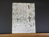 Bangor & Aroostook Corporation and Subsidiaries Annual Report 1961