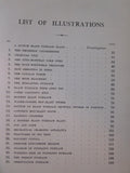 Iron and Steel  by JH Stansbie HArd Cover  1908  375 pages Westminister Series