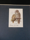 Fairy Tale Railroad by Henry Harter Golden Chariot Route The Mohawk and Malone