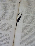 Boston Gazette Commercial and Political 1802 Monday, July 5th V12 #36 4 pages