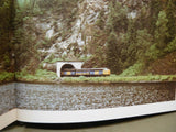 Encyclopedia of North American Railroads By Aaron E Klein DJ 1985
