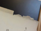 Are you Paying for Old and Incomplete Financial Information? Poor’s Manuals vs.