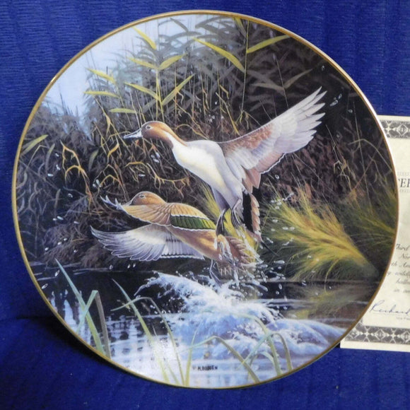 Plate Free as the Wind Airborne by Michael Budden