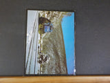 Horseshoe Curve 125 Years 1981 by Rails Northeast       Soft Cover