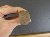 Railroad Spike CS&CCD Ry Used NEar Colorado Springs