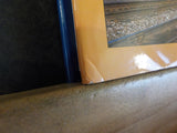 Jersey Central Lines In Color Volume 3 Walter Appel  Morning Sun Books