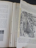 Geology of New Jersey 1868 by George H Cook  NO MAP Some loose pages
