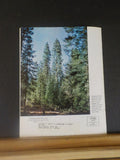 Southern Pacific Bulletin 1972 June Vol56 #6 Russian Railroaders Visit