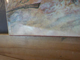 Illustrated Encyclopedia of the Old West by Peter Newark  w/ dust jacket
