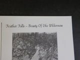 Lost Beneath the Feather by Bill Talbitzer     Soft cover