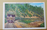 Postcard Shasta in Cow Creek Canon OR Card #6270