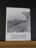 Lost Beneath the Feather by Bill Talbitzer     Soft cover