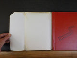 Fire Snake The Railroad that Changed East Africa by Francine Jacobs Dust Jacket