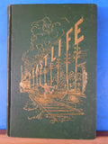 Fast Life On The Modern Highway By Joseph Taylor Hard Cover 1874