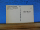Postcard Belt Railway of Chicago locomotive #534 1976 Bicentennial Spirit of 76