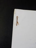 Conrail Historical Society 1996 February Vol 2 #2 Weather woes Derailments